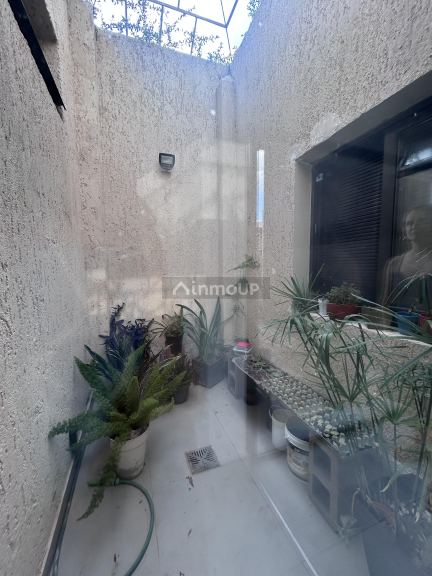 Casa en Alquiler en Lujan de Cuyo, Mendoza