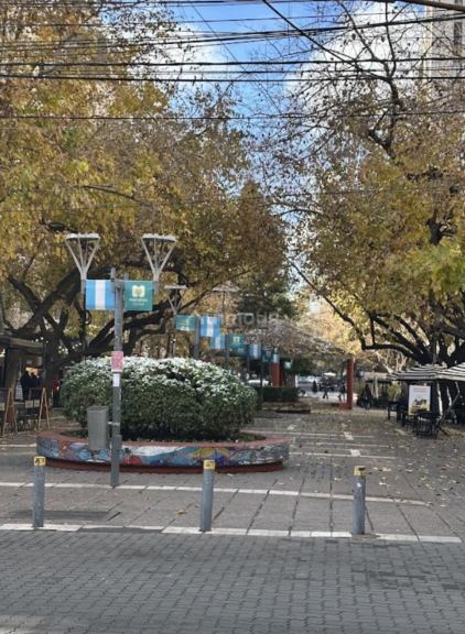 Departamento en Alquiler en Capital, Mendoza