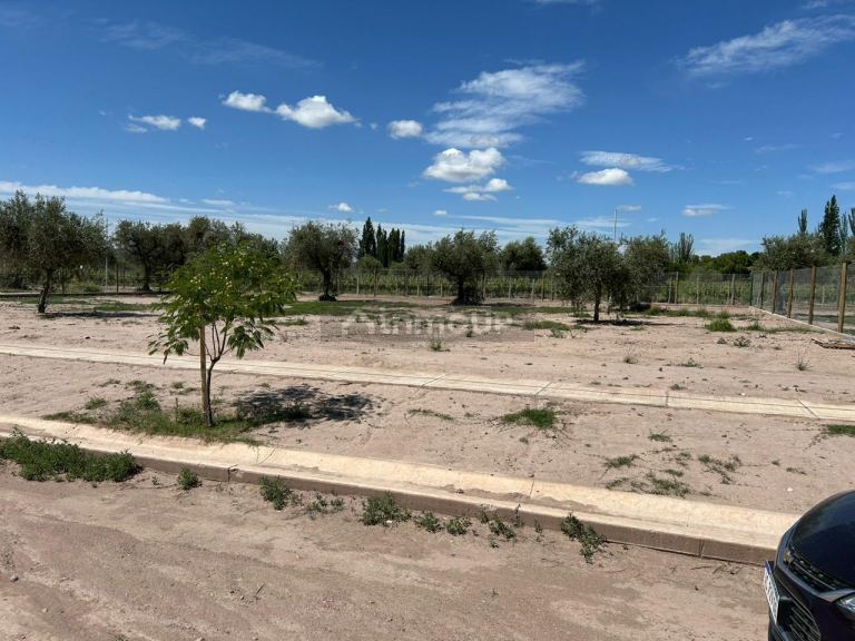 Lote en Venta en Maipu, Mendoza
