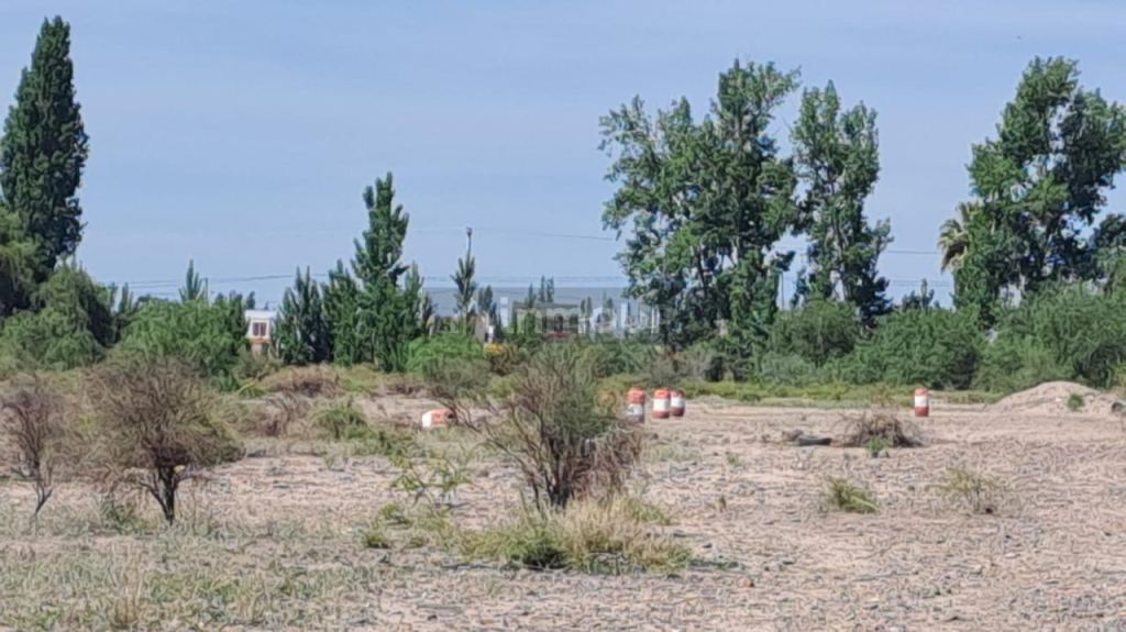 Finca en Venta en Maipu, Mendoza