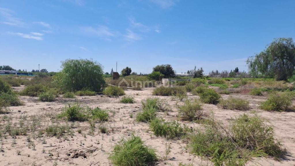 Finca en Venta en Maipu, Mendoza