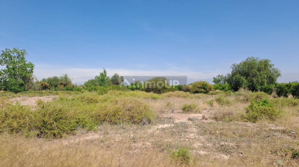 Finca en Venta en Maipu, Mendoza