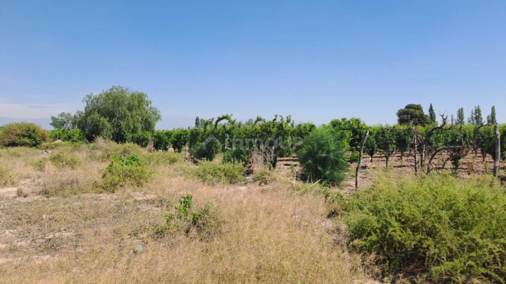 Finca en Venta en Maipu, Mendoza
