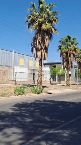 Finca en Venta en Maipu, Mendoza