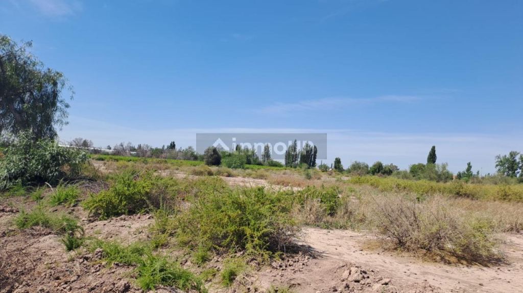Finca en Venta en Maipu, Mendoza