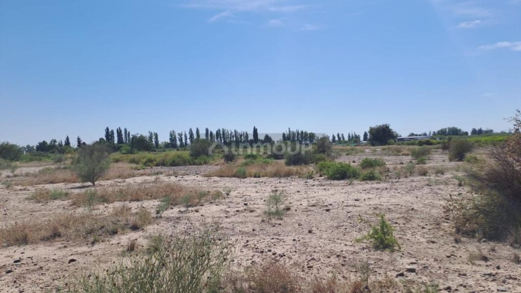 Finca en Venta en Maipu, Mendoza