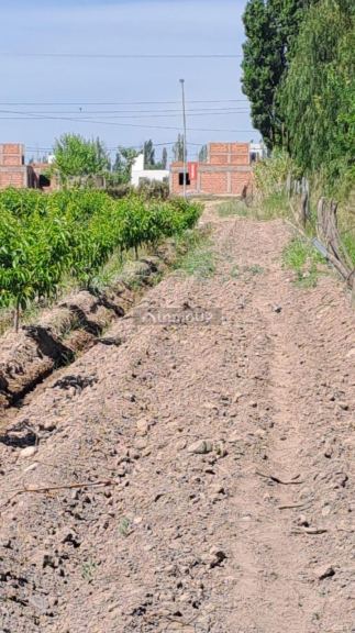 Finca en Venta en Maipu, Mendoza