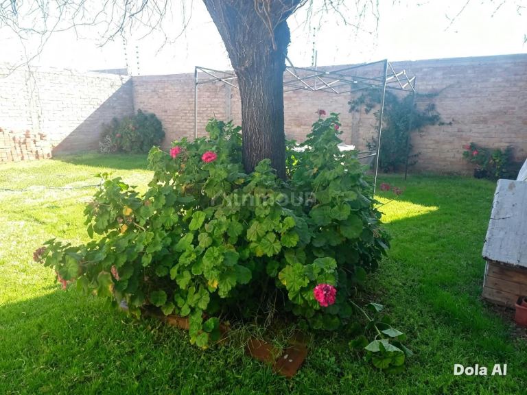 Casa en Alquiler en Lujan de Cuyo, Mendoza