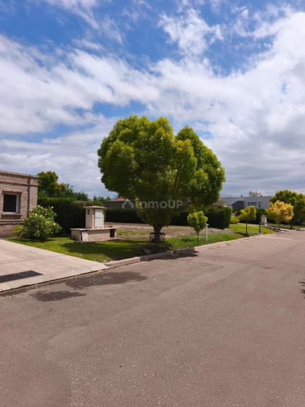 Terreno en Venta en Lujan de Cuyo, Mendoza