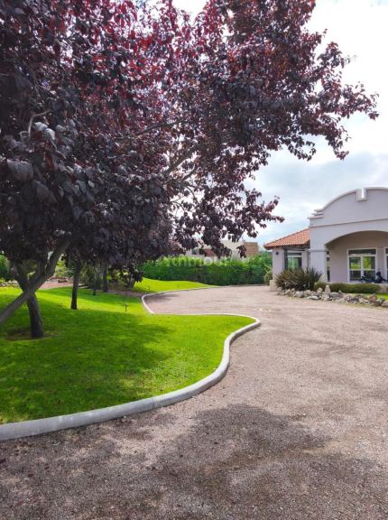 Terreno en Venta en Lujan de Cuyo, Mendoza