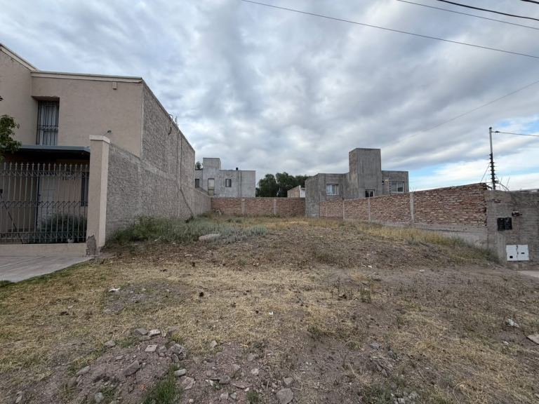 ALTA MENDOZA