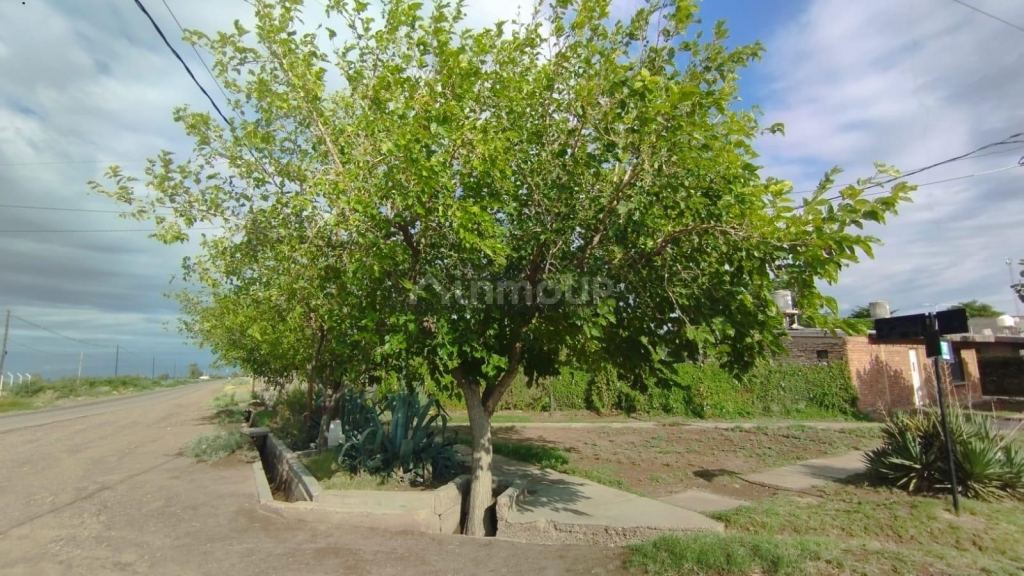 Casa en Venta en San Martin, Mendoza