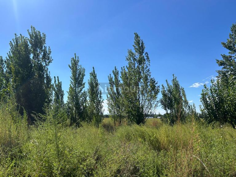 Lote en Venta en Tunuyan, Mendoza
