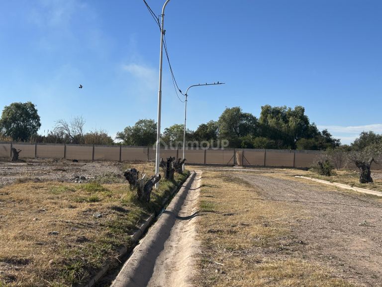 Lote en Venta en Maipu, Mendoza