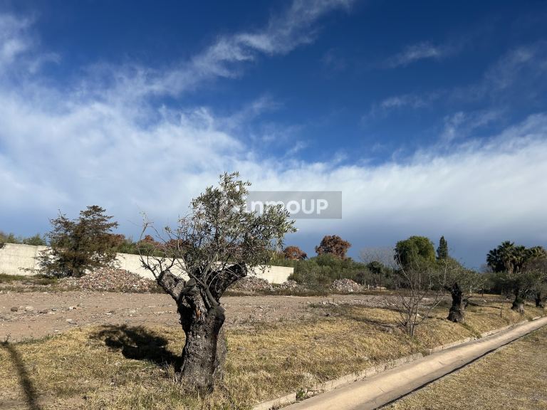 Lote en Venta en Maipu, Mendoza