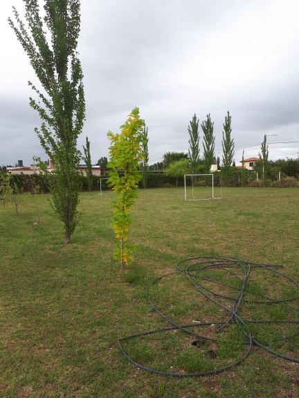 Lote en Venta en Maipu, Mendoza