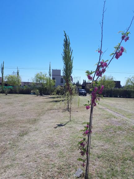 Lote en Venta en Maipu, Mendoza
