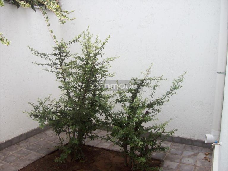 Departamento en Alquiler en Guaymallen, Mendoza