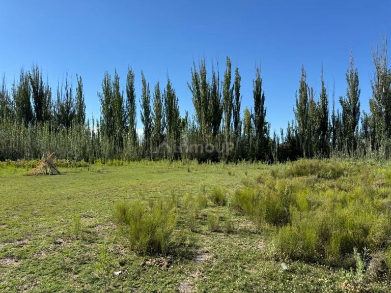 Lote en Venta en San Carlos, Mendoza