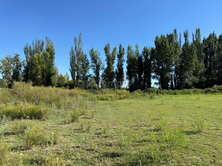 Lote en Venta en San Carlos, Mendoza