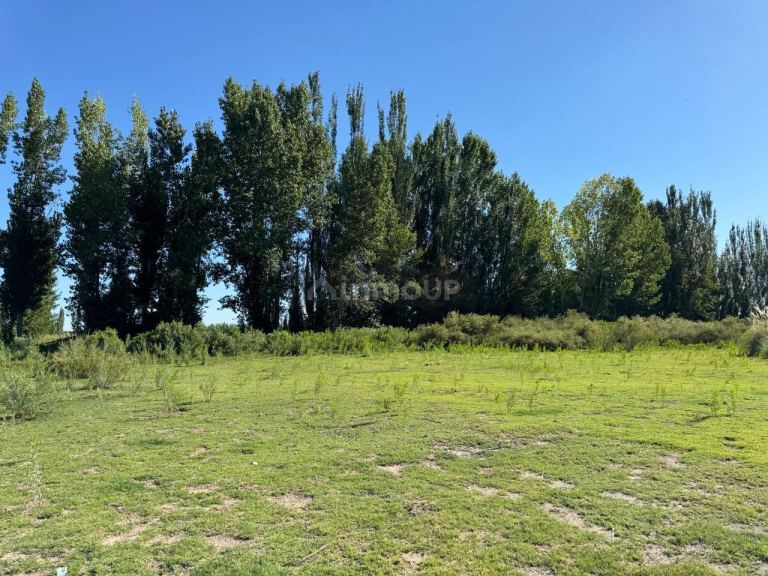 Lote en Venta en San Carlos, Mendoza