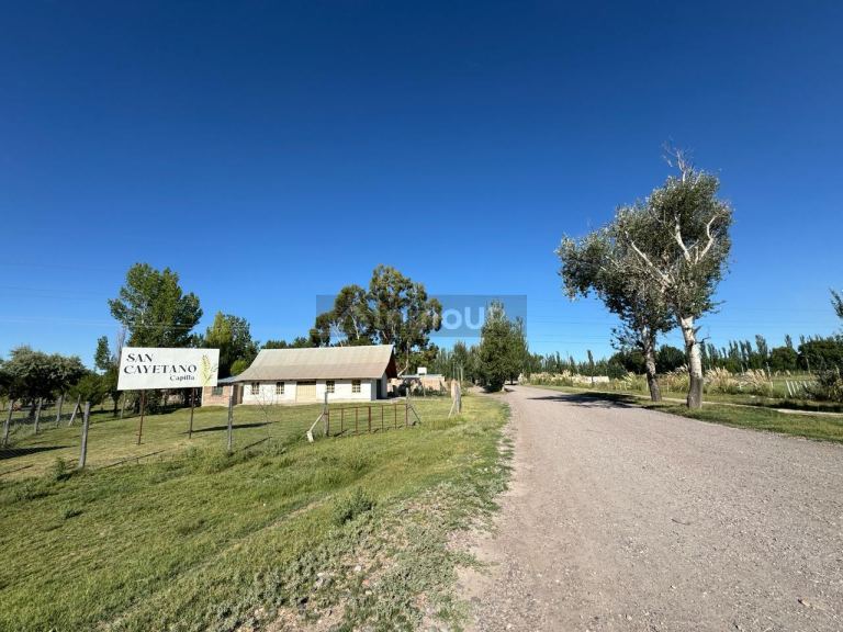Lote en Venta en San Carlos, Mendoza