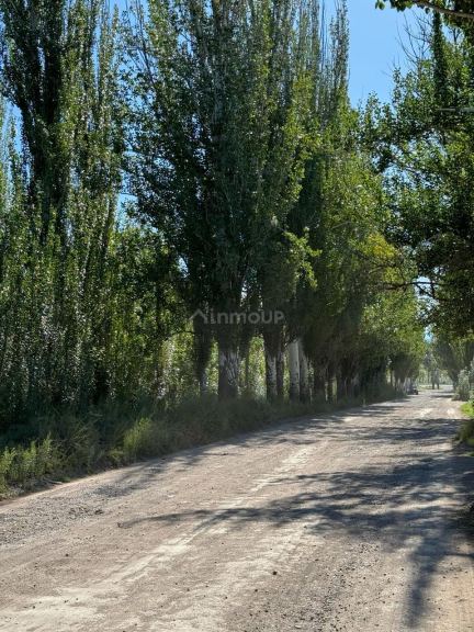 Lote en Venta en San Carlos, Mendoza