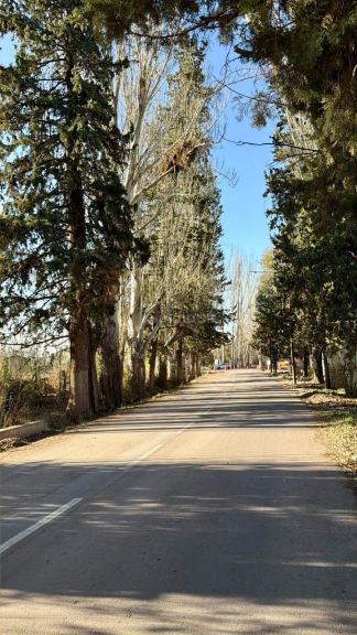 Lote en Venta en Lujan de Cuyo, Mendoza