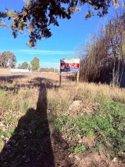 Lote en Venta en Lujan de Cuyo, Mendoza