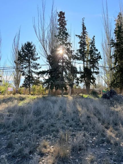 Lote en Venta en Lujan de Cuyo, Mendoza