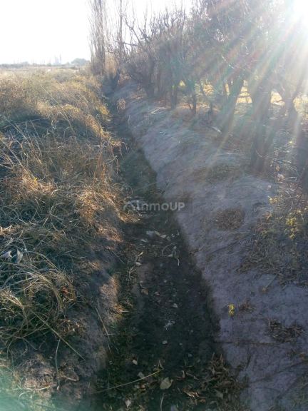 Finca en Venta en Maipu, Mendoza