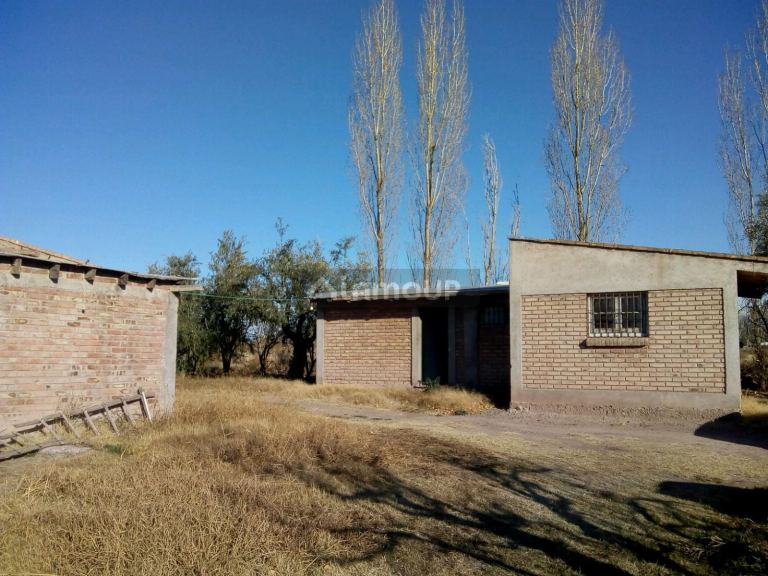 Finca en Venta en Maipu, Mendoza