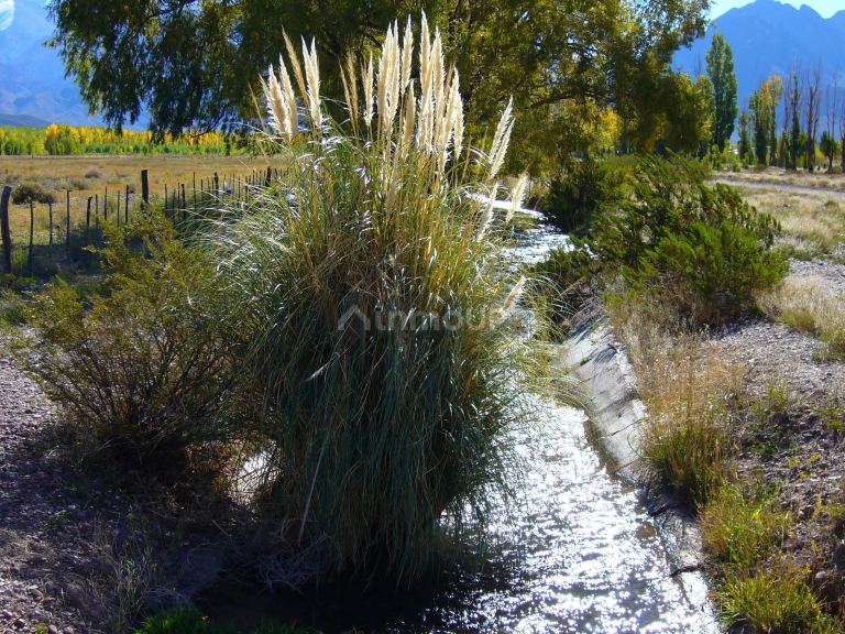 Finca en Venta en Las Heras, Mendoza