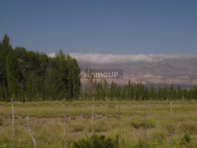 Finca en Venta en Las Heras, Mendoza