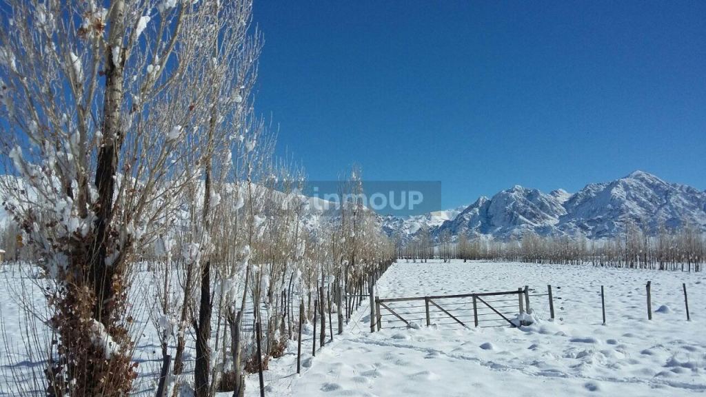 Finca en Venta en Las Heras, Mendoza