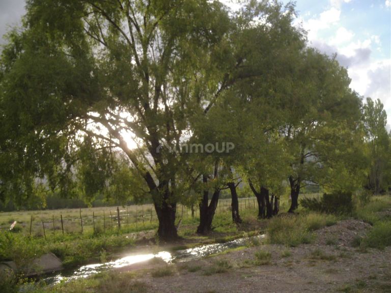 Finca en Venta en Las Heras, Mendoza
