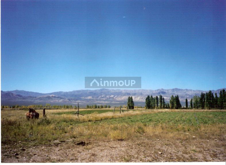 Finca en Venta en Las Heras, Mendoza