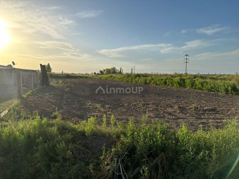 Finca en Venta en Maipu, Mendoza