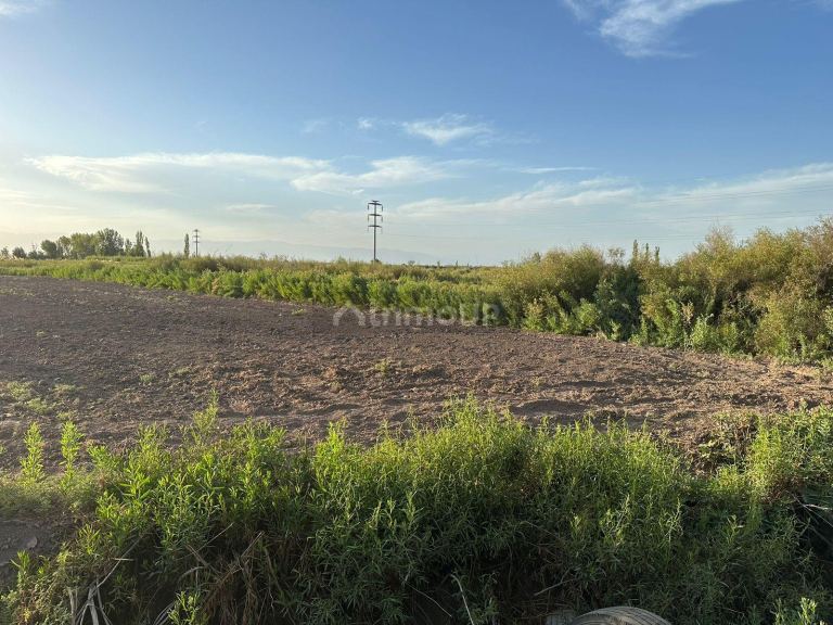 Finca en Venta en Maipu, Mendoza
