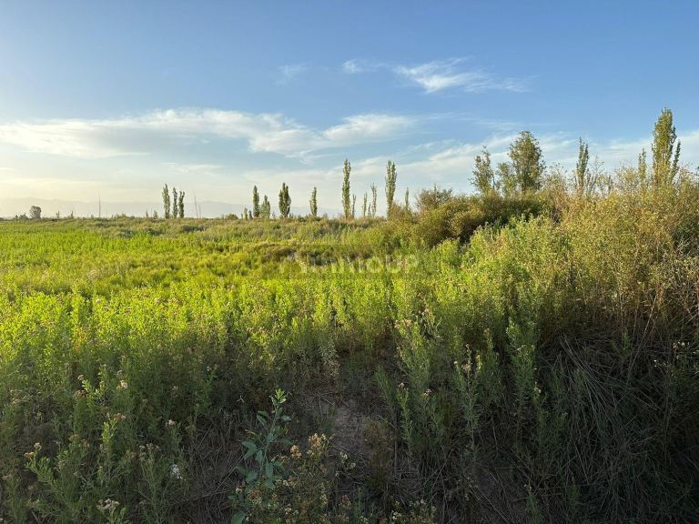 Finca en Venta en Maipu, Mendoza