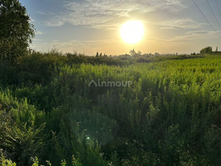 Finca en Venta en Maipu, Mendoza