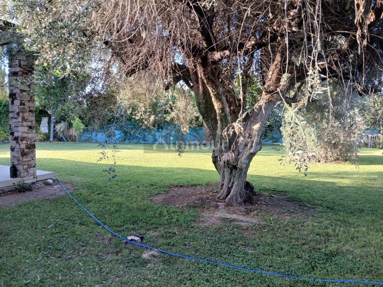 Casa en Alquiler en Maipu, Mendoza