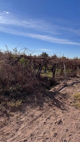 Finca en Venta en Las Heras, Mendoza