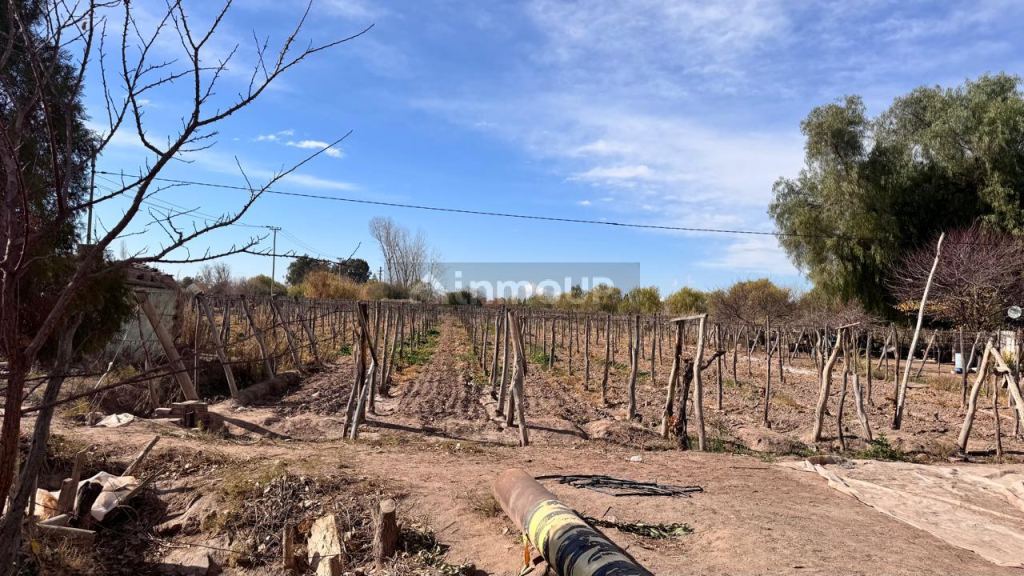Finca en Venta en Las Heras, Mendoza