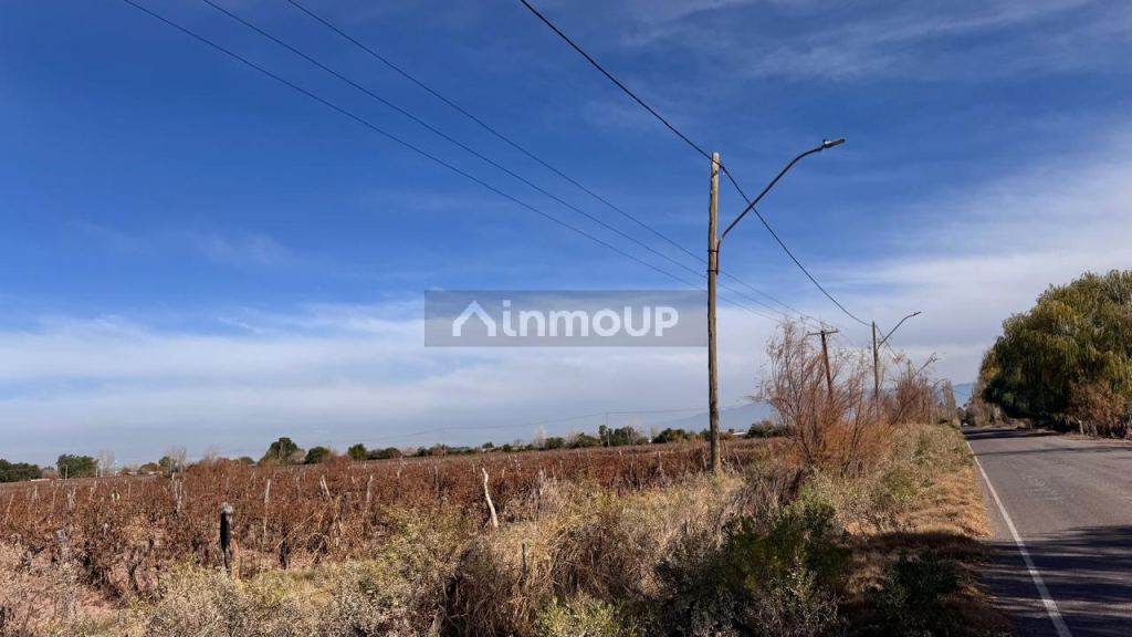 Finca en Venta en Las Heras, Mendoza