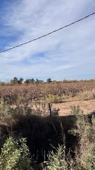 Finca en Venta en Las Heras, Mendoza