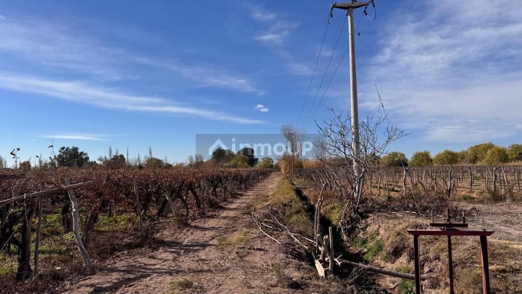 Finca en Venta en Las Heras, Mendoza