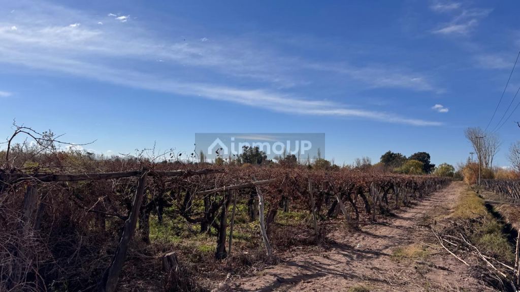 Finca en Venta en Las Heras, Mendoza