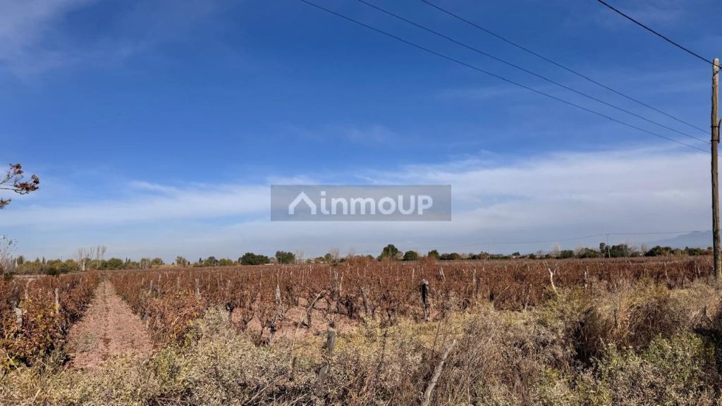 Finca en Venta en Las Heras, Mendoza