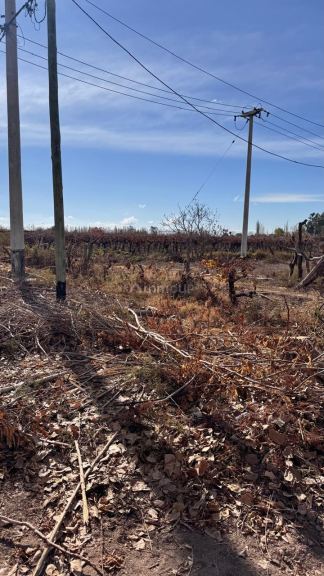 Finca en Venta en Las Heras, Mendoza